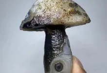 天然サードニクス瑪瑙-アリエク特価アラート