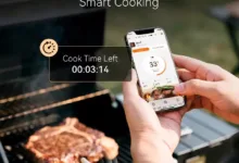 【¥6,082】INKBIRD ワイヤレスBBQ温度計 超高精度肉用温度計-アリエク特価アラート