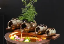 【¥2,240】循環 陶器ポット-アリエク特価アラート